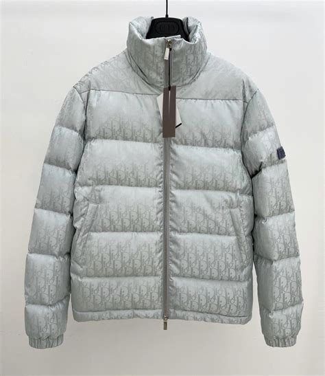 dior oblique jacke grau|Dior Oblique Sleeveless Down Jacket Gray Men's .